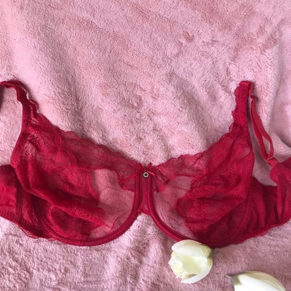 Divine Full Coverage lace Bra - Picture 11 of 12